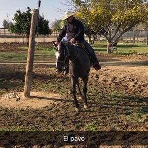 Meet your Posher, Fernando